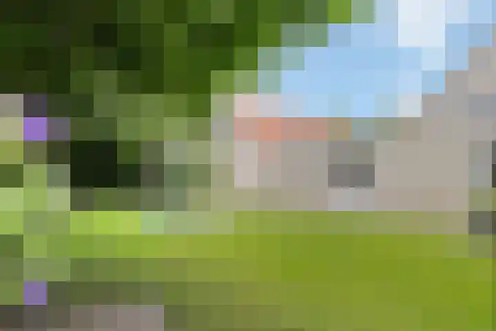 Zandrug 29 Luttenberg thumbnail 42