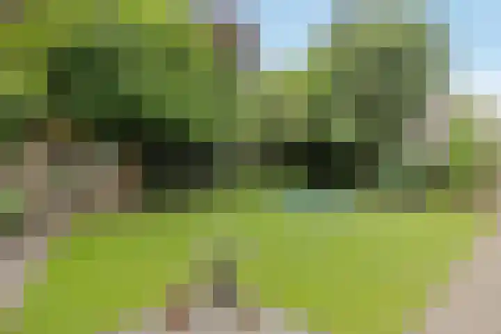 Zandrug 29 Luttenberg thumbnail 43