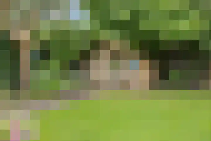 Zandrug 29 Luttenberg thumbnail 44