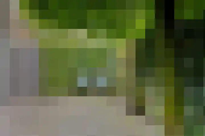 Zandrug 29 Luttenberg thumbnail 45