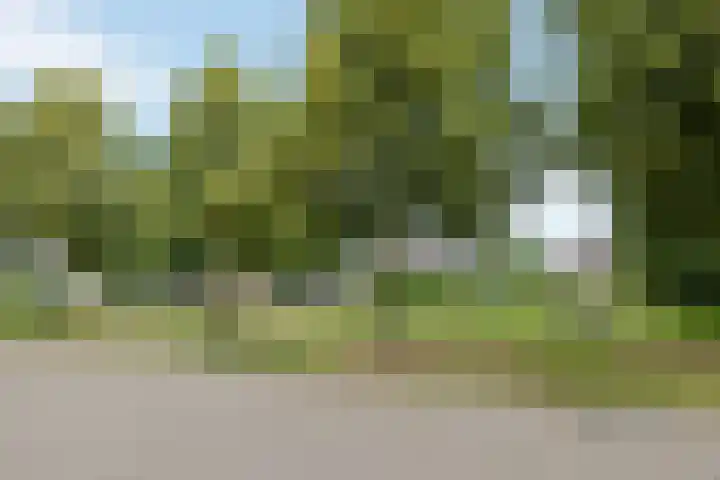 Zandrug 29 Luttenberg thumbnail 46