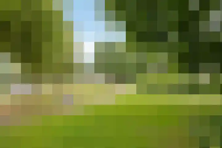 Zandrug 29 Luttenberg thumbnail 47
