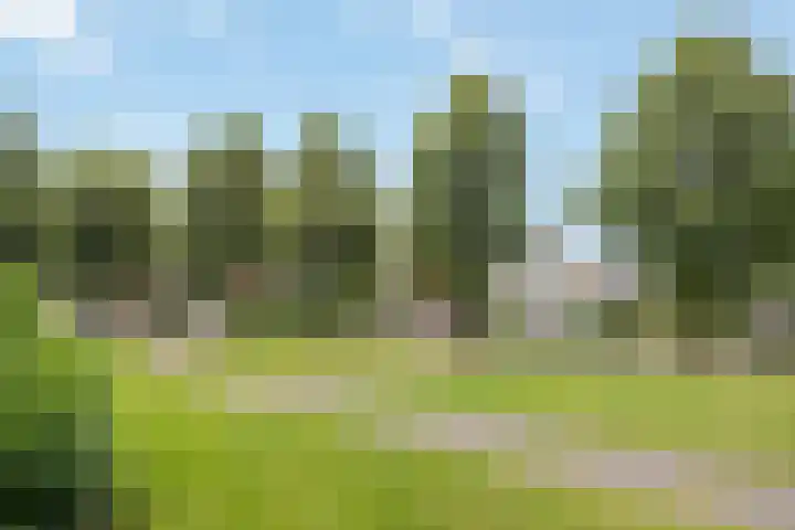 Zandrug 29 Luttenberg thumbnail 48