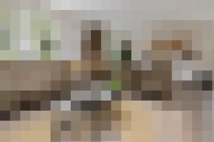 Zandrug 29 Luttenberg thumbnail 6