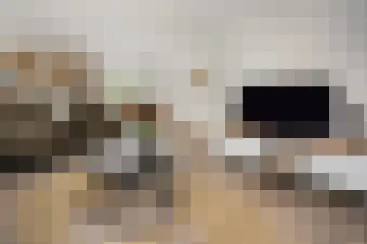 Zandrug 29 Luttenberg thumbnail 7