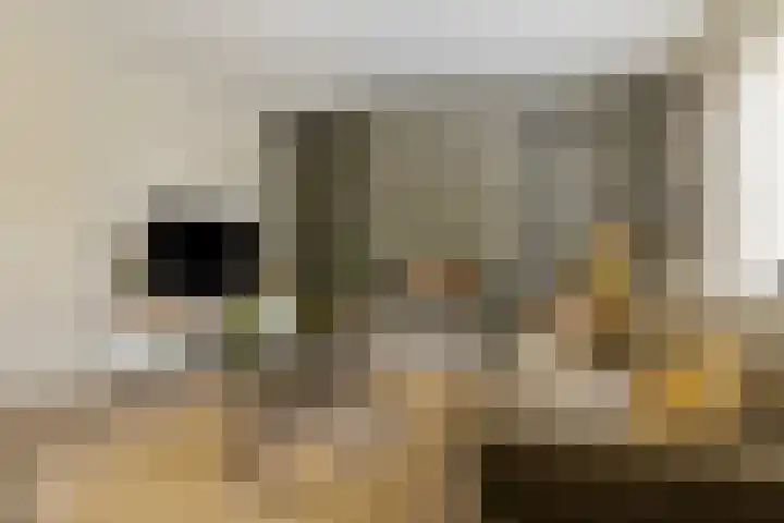 Zandrug 29 Luttenberg thumbnail 9