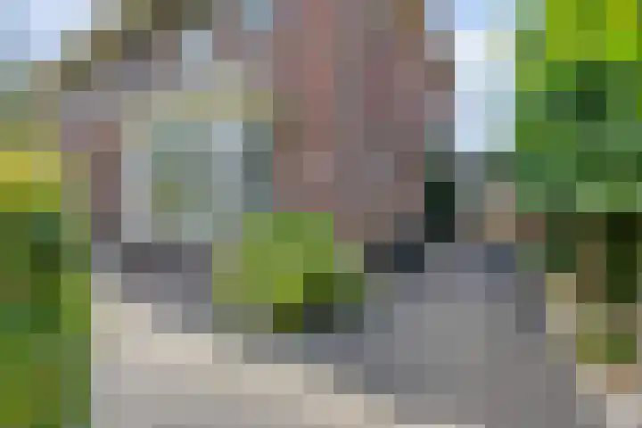 Zandrug 42 Kampen thumbnail 11