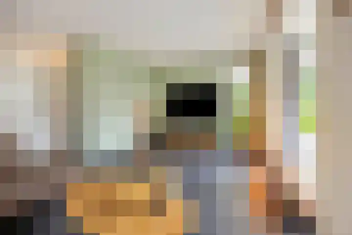 Zandrug 42 Kampen thumbnail 17