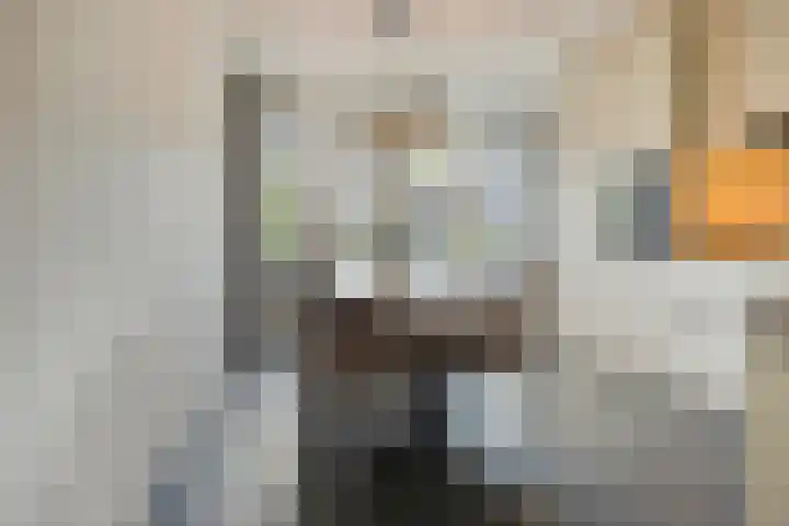 Zandrug 42 Kampen thumbnail 20