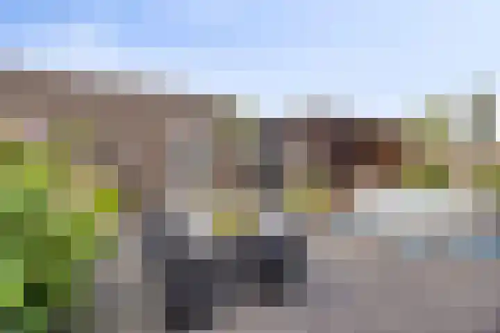 Zandrug 42 Kampen thumbnail 4