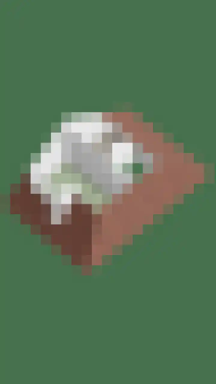 Zandrug 42 Kampen thumbnail 63