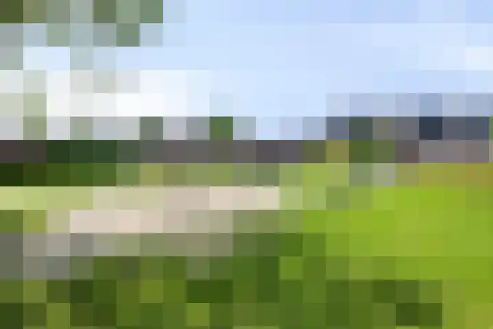 Zandrug 42 Kampen thumbnail 8