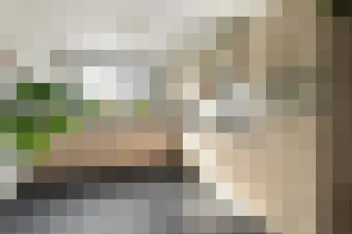 Zandrug 8 Kampen thumbnail 19