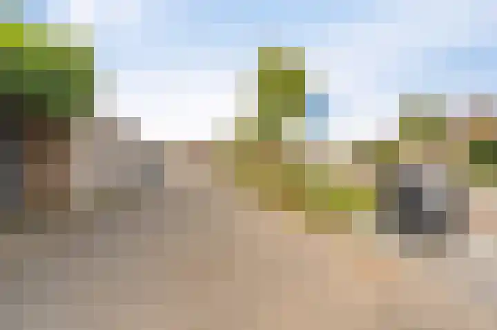 Zandrug 8 Kampen thumbnail 31