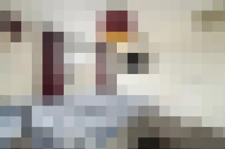 Zandrug 8 Kampen thumbnail 38