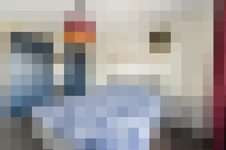 Zandrug 8 Kampen thumbnail 39