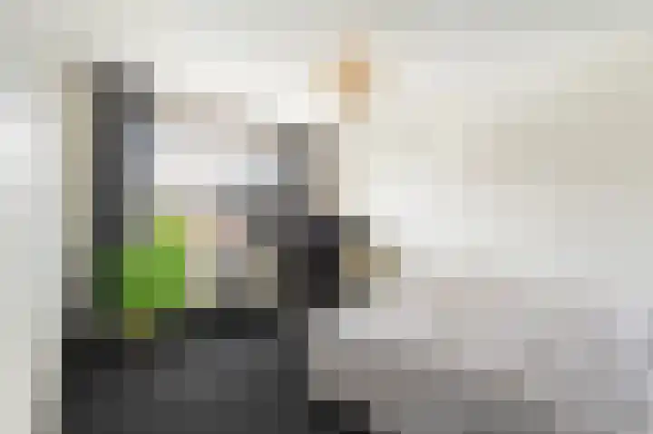 Zandrug 8 Kampen thumbnail 40