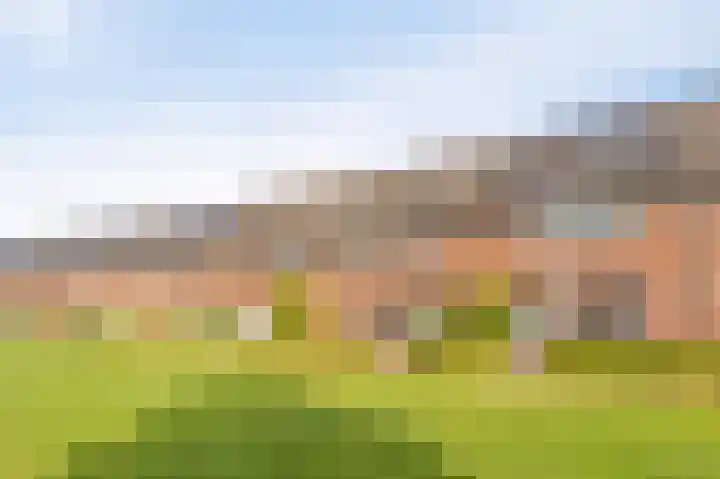 Zandrug 8 Kampen thumbnail 55