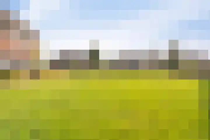 Zandrug 8 Kampen thumbnail 56