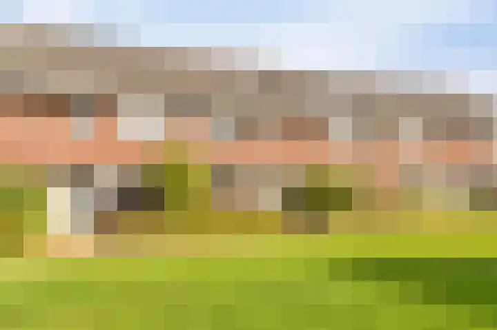 Zandrug 8 Kampen thumbnail 7