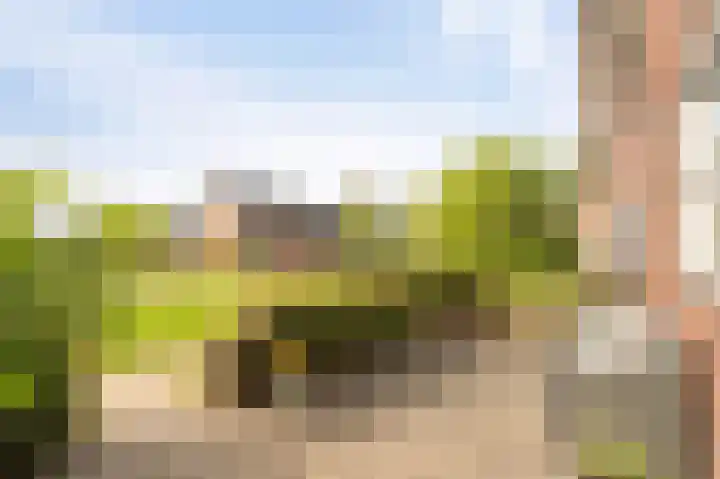 Zandrug 8 Kampen thumbnail 8