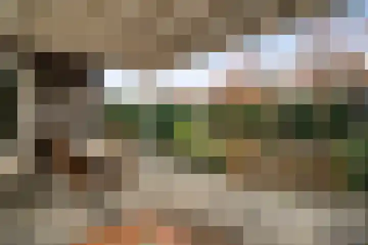 Zands Allee 13 Herten thumbnail 30