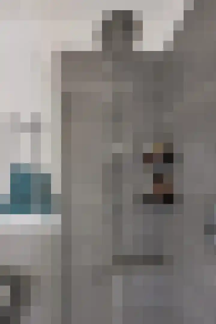 Zands Allee 50 Herten thumbnail 32