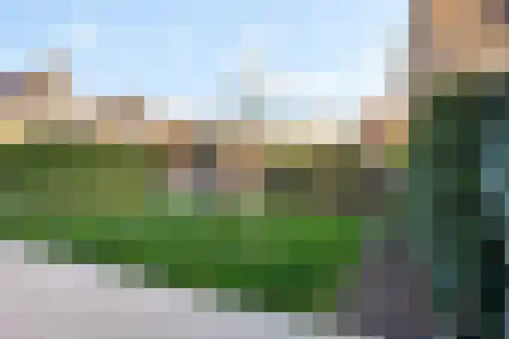 Zands Allee 50 Herten thumbnail 37