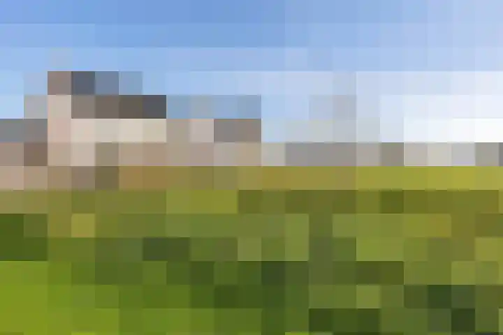 Zands Allee 50 Herten thumbnail 45