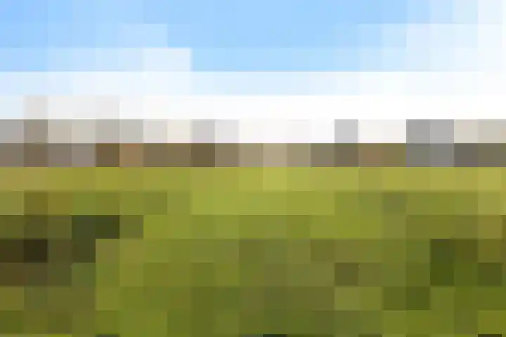 Zands Allee 50 Herten thumbnail 47