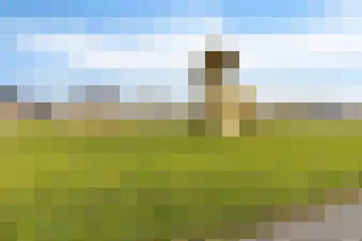 Zands Allee 50 Herten thumbnail 48