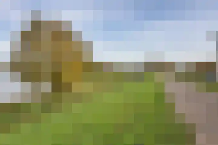 Zands Allee 50 Herten thumbnail 53