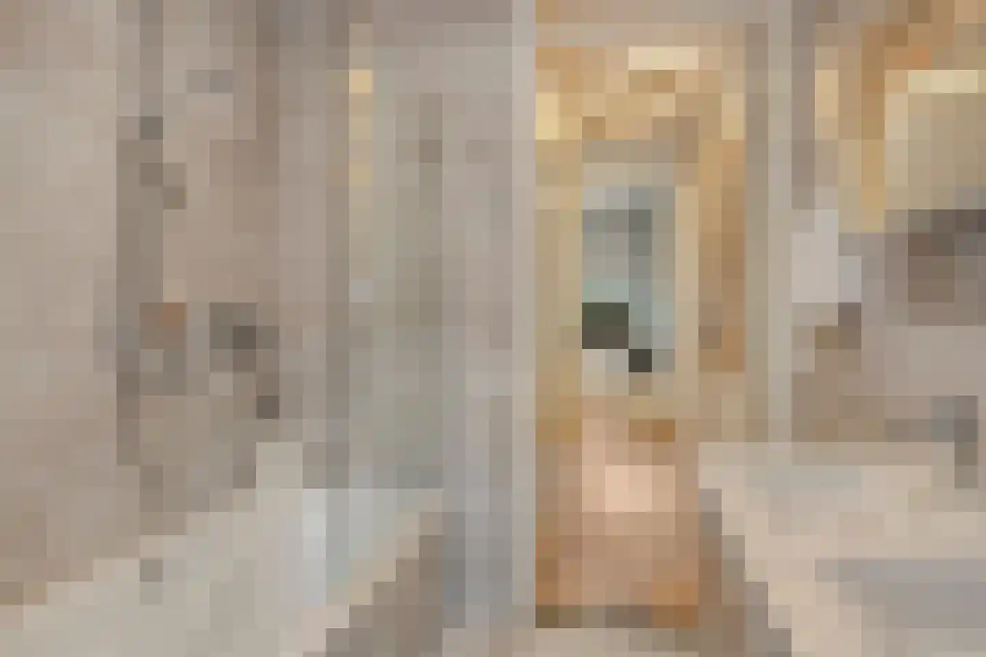 Zandscheer 2 Lunteren thumbnail 19