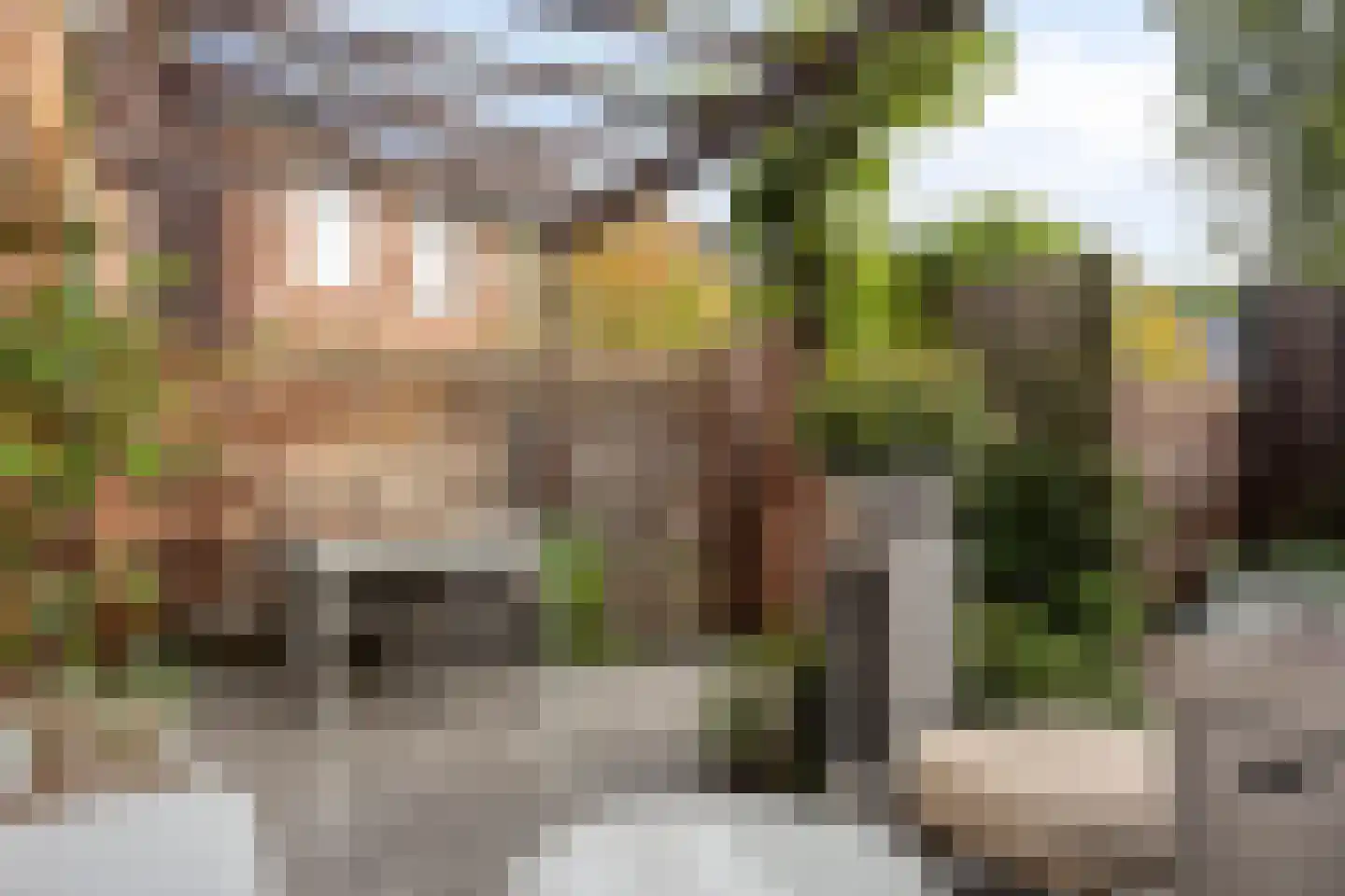Zandscheer 2 Lunteren thumbnail 30