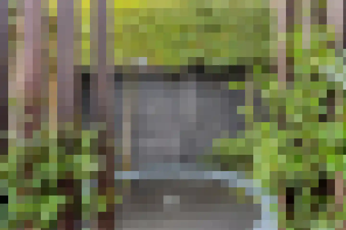 Zandscheer 2 Lunteren thumbnail 32
