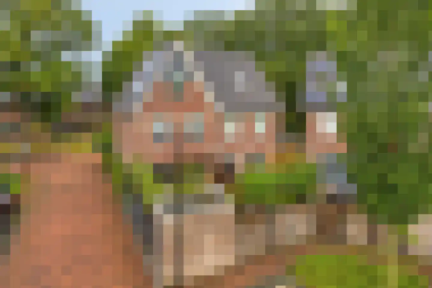 Zandscheer 2 Lunteren thumbnail 34