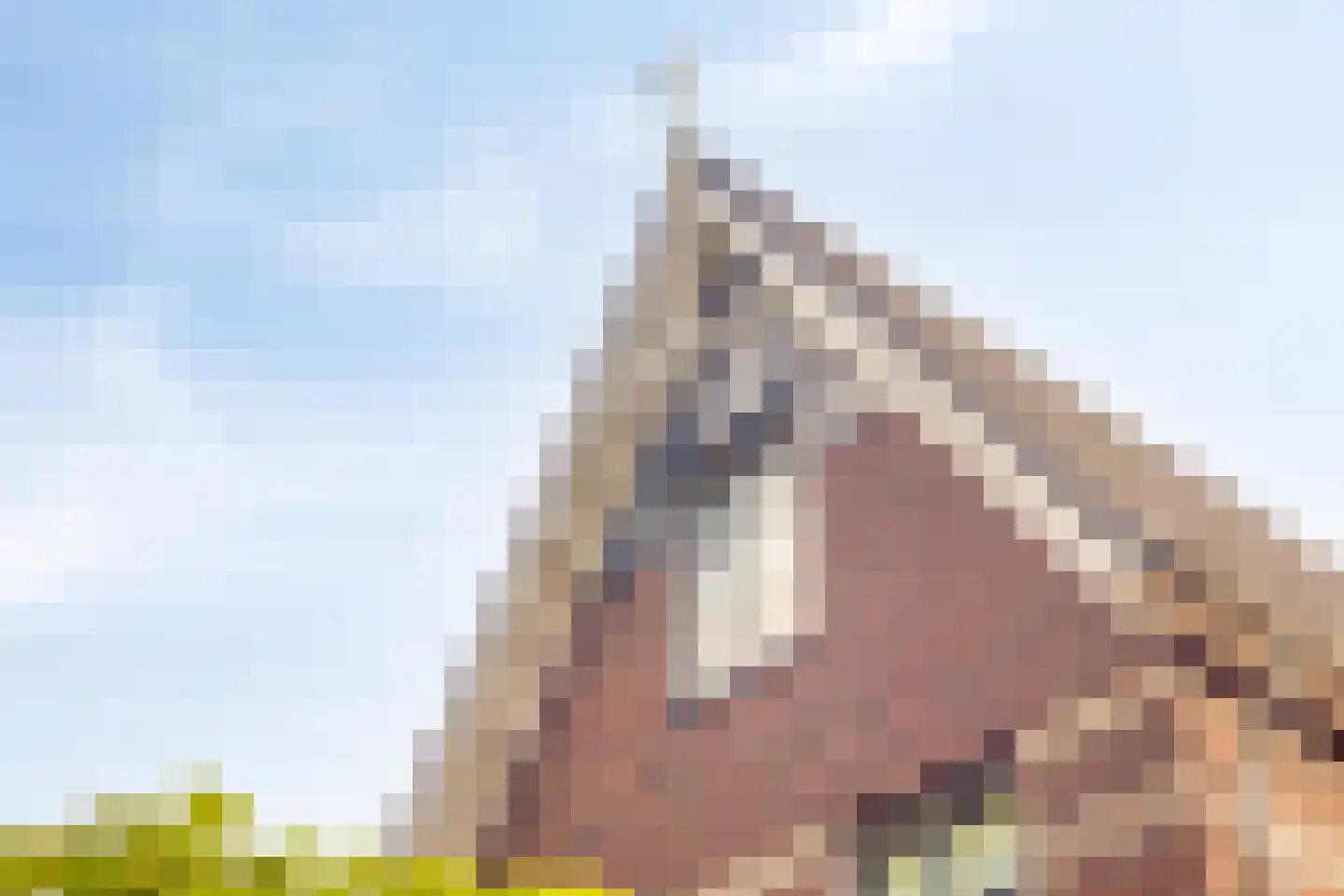 Zandscheer 2 Lunteren thumbnail 37