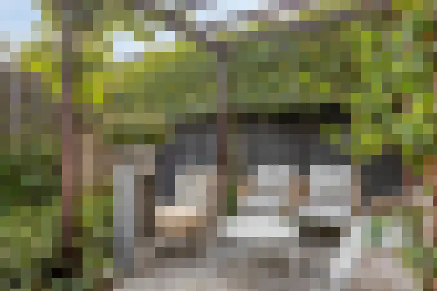 Zandscheer 2 Lunteren thumbnail 4