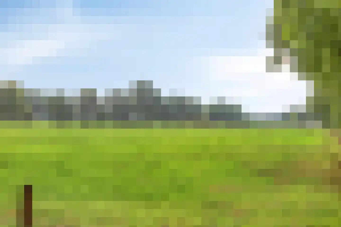 Zandscheer 2 Lunteren thumbnail 40