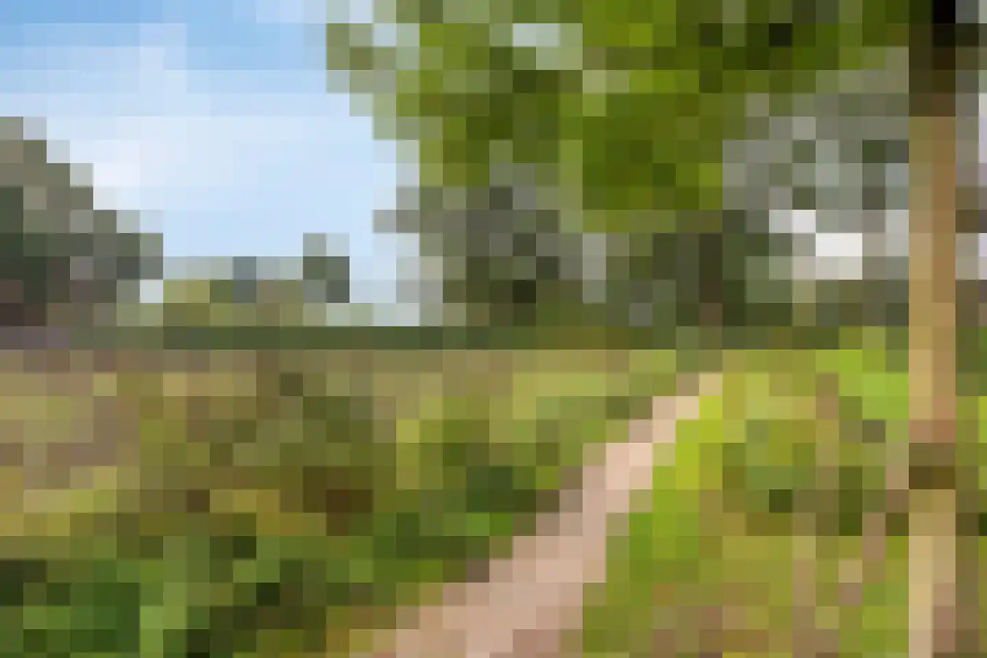 Zandscheer 2 Lunteren thumbnail 41