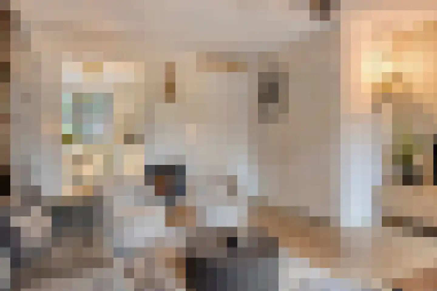 Zandscheer 2 Lunteren thumbnail 8