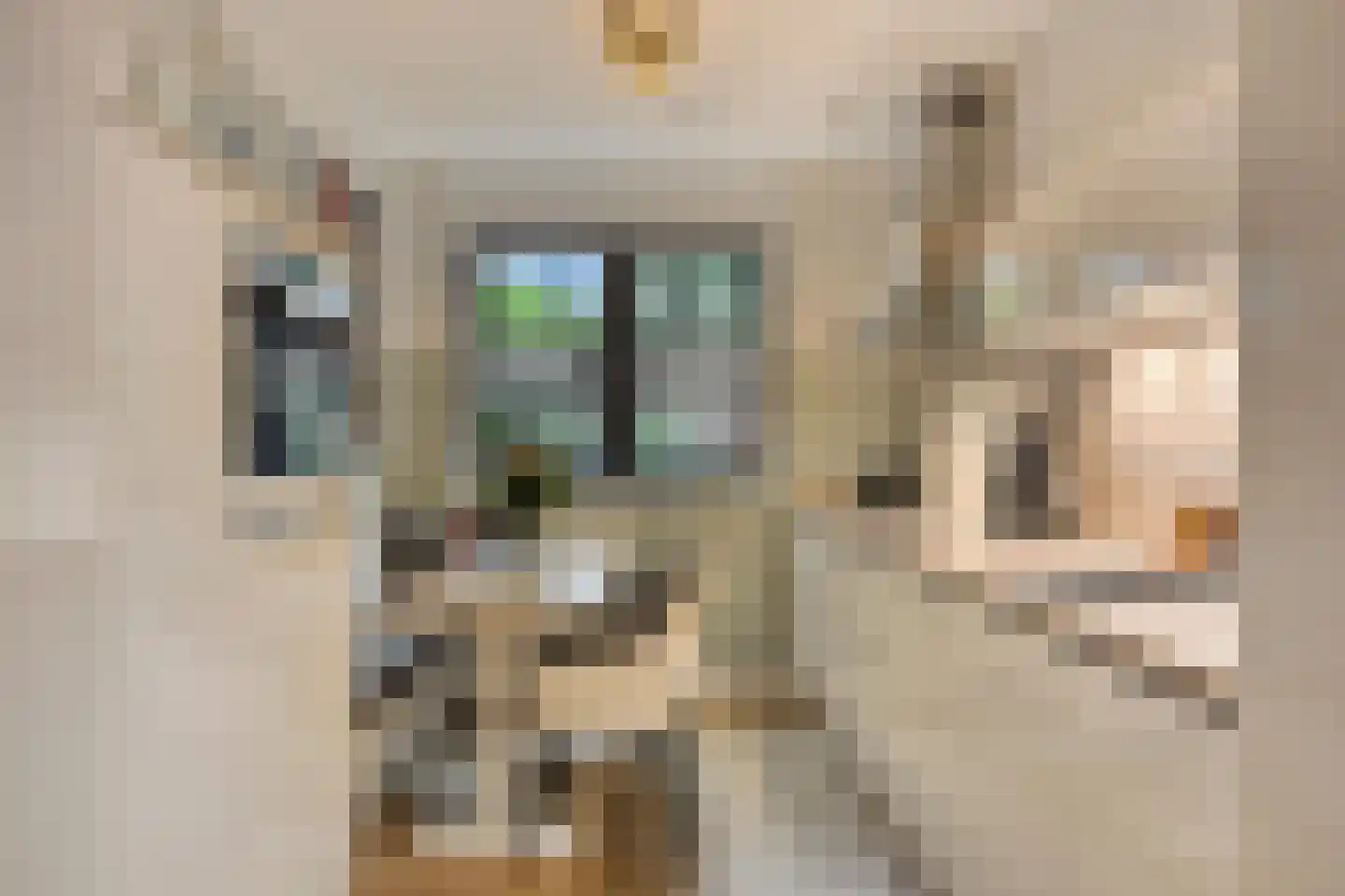 Zandscheer 2 Lunteren thumbnail 9