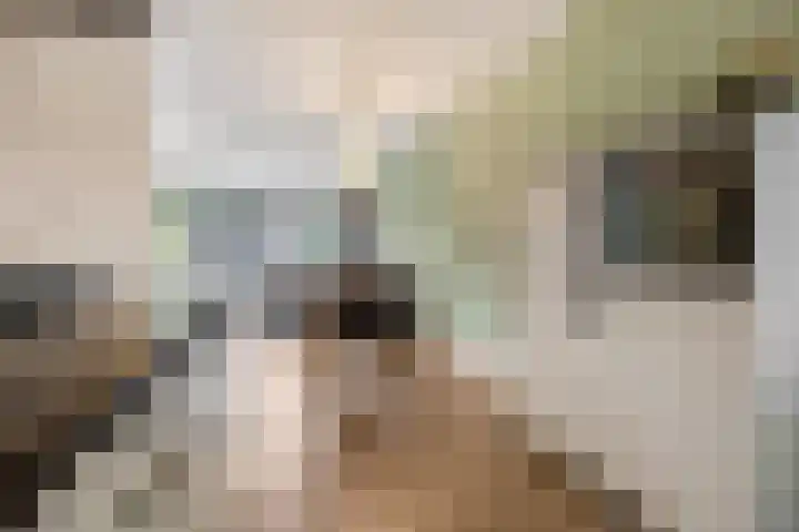 Zandscheer 6 Lunteren thumbnail 10