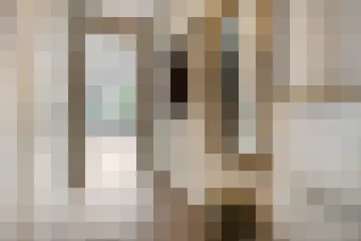 Zandscheer 6 Lunteren thumbnail 13