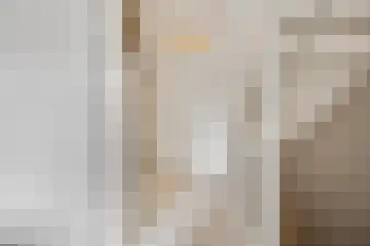 Zandscheer 6 Lunteren thumbnail 14