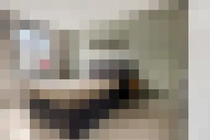 Zandscheer 6 Lunteren thumbnail 15