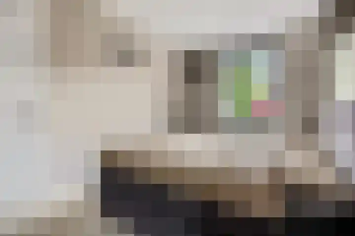 Zandscheer 6 Lunteren thumbnail 17