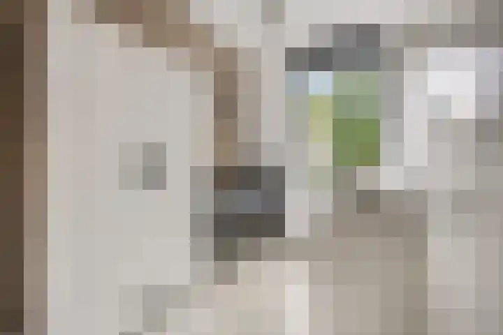 Zandscheer 6 Lunteren thumbnail 20