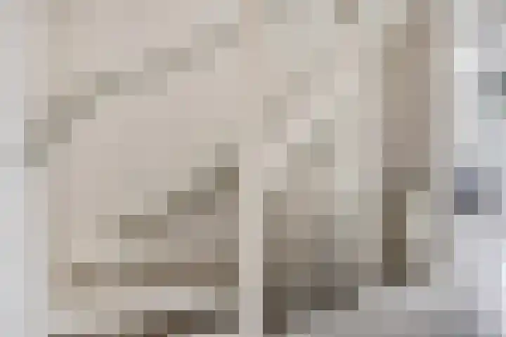 Zandscheer 6 Lunteren thumbnail 25
