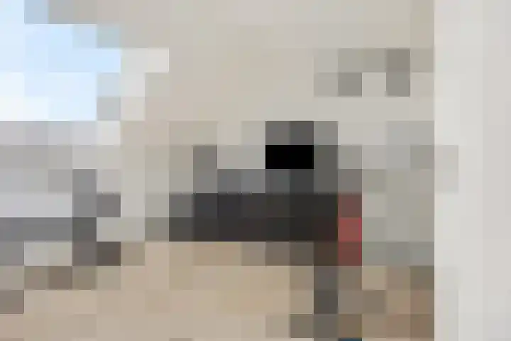 Zandscheer 6 Lunteren thumbnail 26